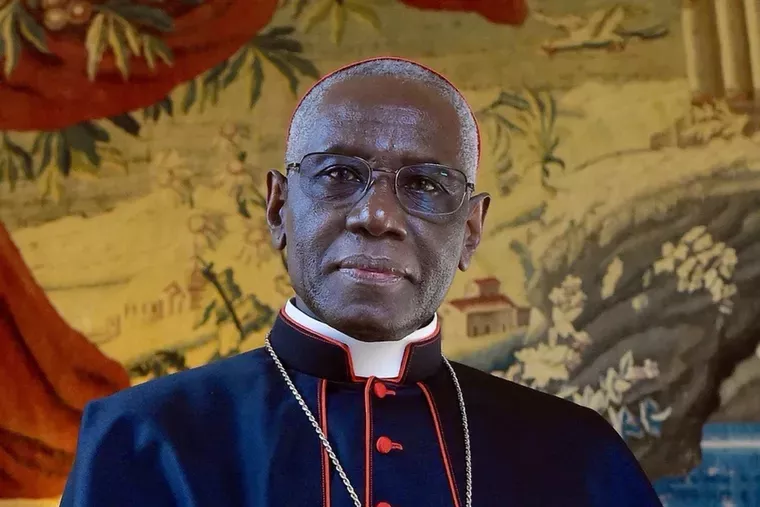Pope Leo XIV Receives Cardinal Sarah in Private Audience