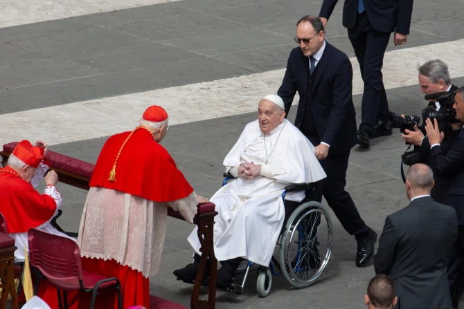 Pope Francis Greets Pilgrims At Palm Sunday Mass