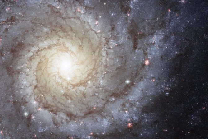 Pope Leo XIV speaks with astronomy students about ‘wonder’ of the universe