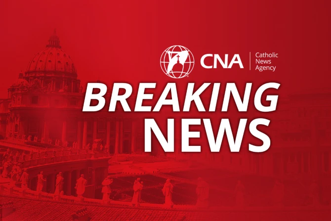 BREAKING: Habemus papam!  Cardinal Robert Prevost elected as Pope Leo XIV