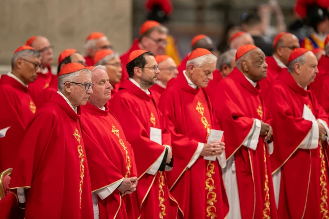 Pope Francis’ cardinal picks bring new voices to the conclave