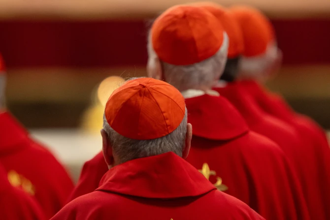 These are the challenges identified by the cardinals ahead of the conclave