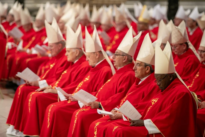 2025 conclave to be largest in Catholic Church’s history