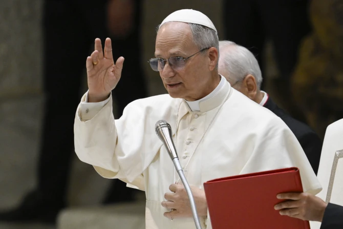 FULL TEXT: Pope Leo XIV addresses Centesimus Annus Foundation on Catholic social teaching