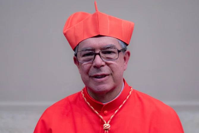 Cardinal Rueda: A conclave is ‘quite different’ from the election of a president